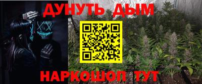 PSILOCYBIN Обнинск