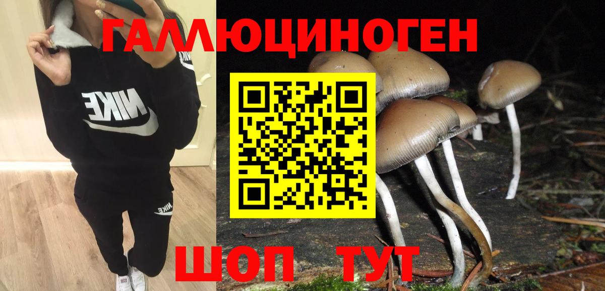 Псилоцибиновые грибы Psilocybe  Вход с VPN  Галлюциногенные грибы GOLDEN TEACHER  Богородск 